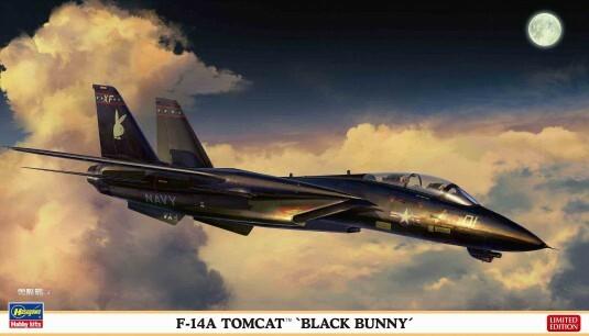 NodoModelli, 1/72 Hasegawa F-14A Tomcat Black Bunny