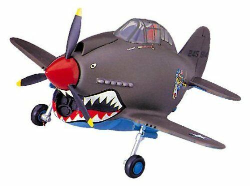 Hasegawa, AEREO A UOVO P-40 WARHAWK