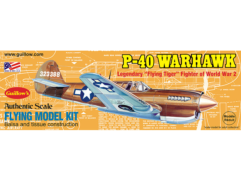 NodoModelli, Curtiss P-40 Warhawk