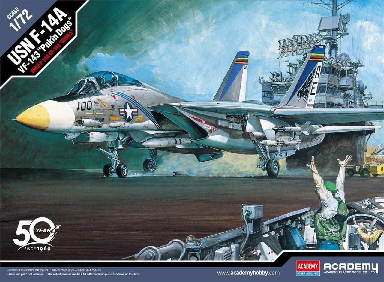 Accademia, F-14A Tomcat VF-143 Pukin Dog